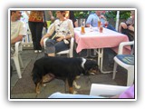 db_IMG_17591