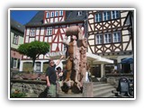 db_IMG_18591