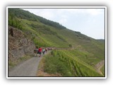 db_DSCN13431