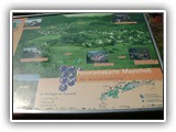 db_RIMG00181