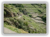 db_RIMG00201