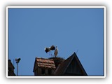 db_DSC028111