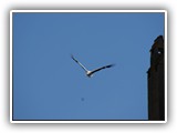 db_DSC028121