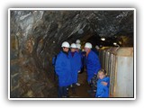 db_P10308691