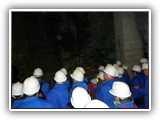 db_P10308841