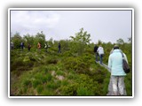 db_P10009121