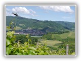 db_P10009551